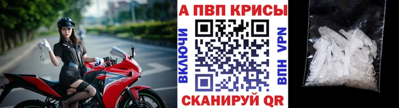 Alfa_PVP СК Судогда