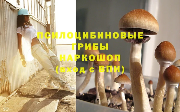 таблы Рославль