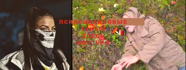 мескалин Ростов