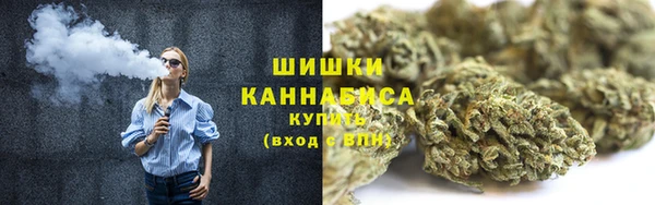прущие грибы Гусь-Хрустальный