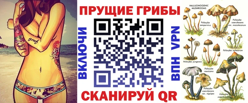Галлюциногенные грибы MAGIC MUSHROOMS  Судогда 
